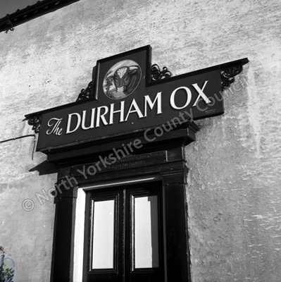 The Durham Ox, Crayke